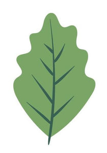 zijden bloemen blad 
